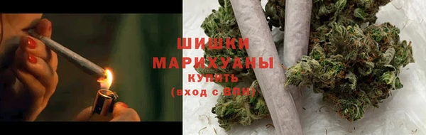 mdpv Богородск