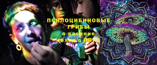 МДПВ Богородицк