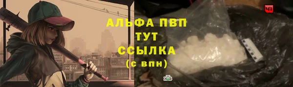 твердый Богданович