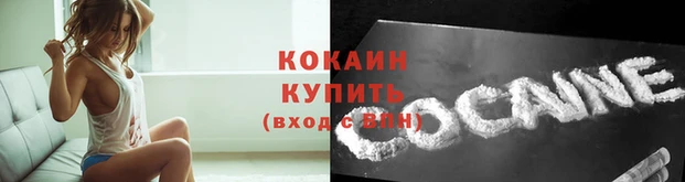твердый Богданович