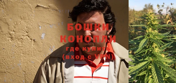 твердый Богданович