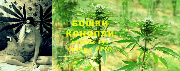 mdpv Богородск