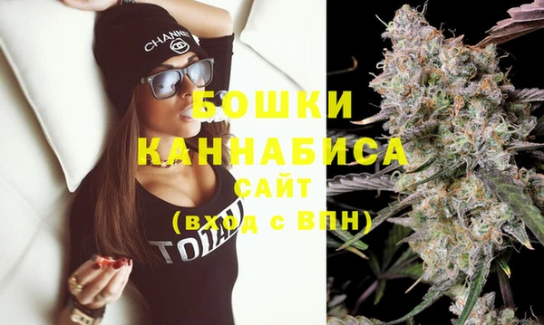 твердый Богданович