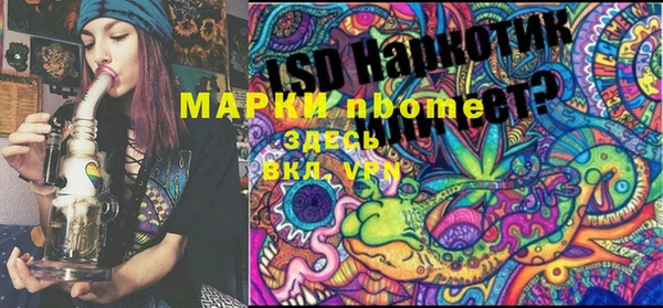твердый Богданович