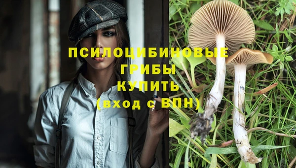 твердый Богданович
