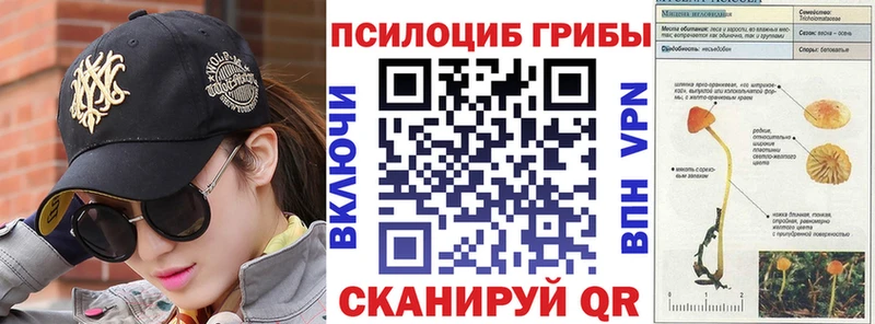 купить закладку  Электроугли  Галлюциногенные грибы Cubensis 